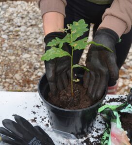 Read more about the article The importance of a sustainable workplace
