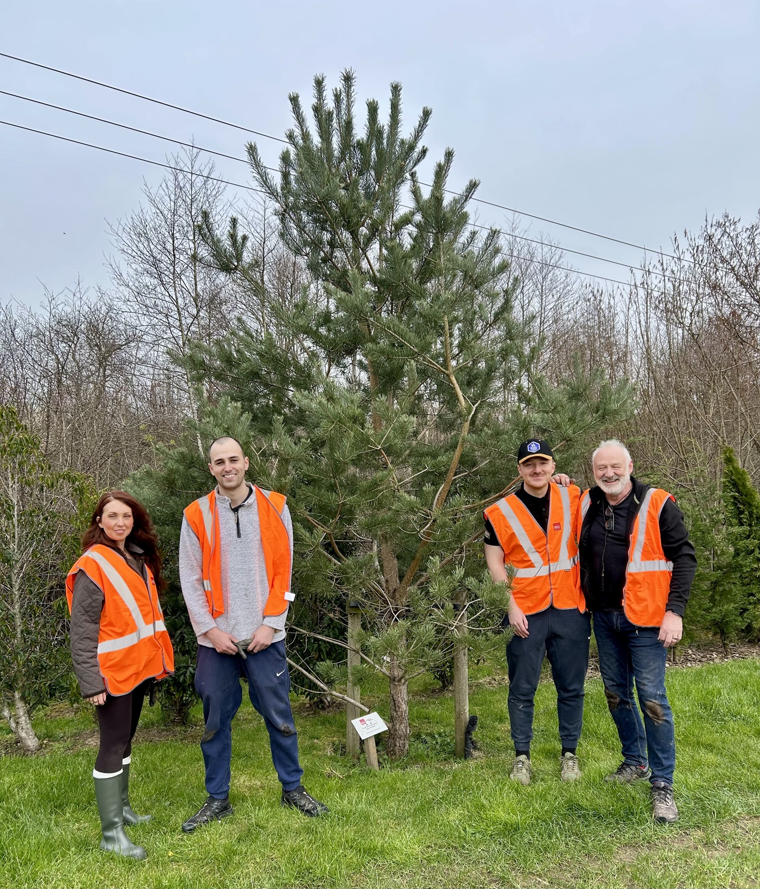 You are currently viewing A Living Commitment: Ford & Stanley’s Derbyshire Conservation Meadow on Earth Day 2026