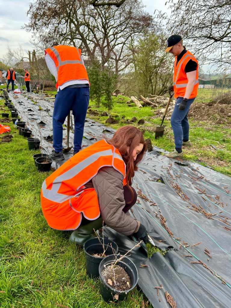 Conservation Meadow team 3